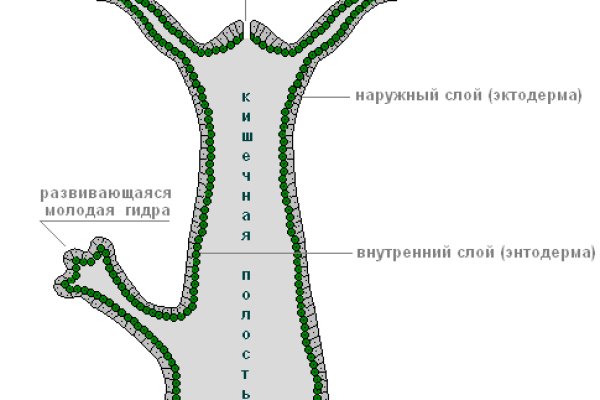 Зайти на кракен