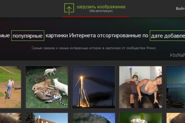 Настоящая ссылка на кракен