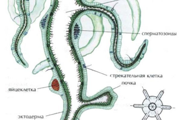 Взломанный аккаунт кракен