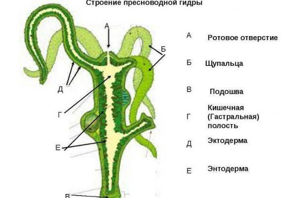 Где брать ссылки на кракен