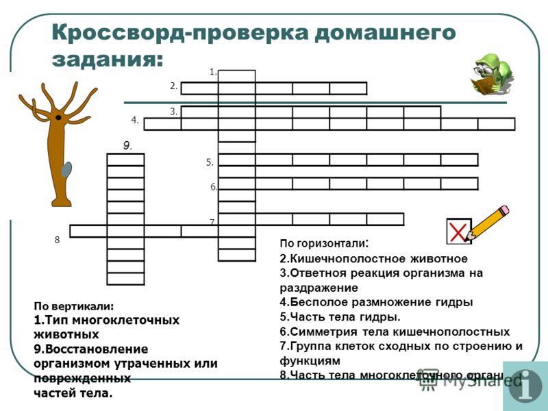 Кракен 17 at вход